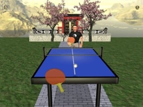 Zen Table Tennis Image