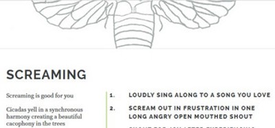 Cicada Songs Image