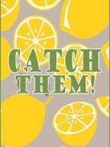 Catch them! Image