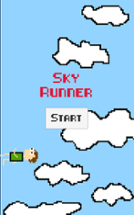 Sky Runner Image