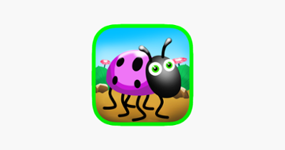 Little beetle run Image