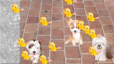 Puppy Dog Puzzles for Toddlers Image