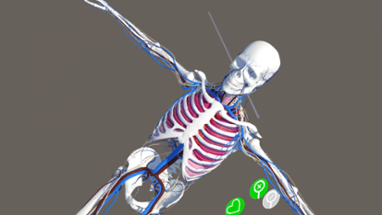 Human Anatomy Viewer XR Image