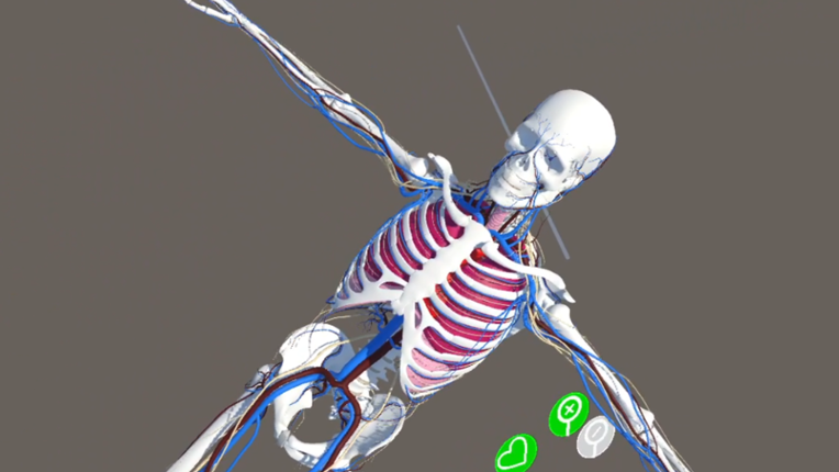 Human Anatomy Viewer XR Game Cover