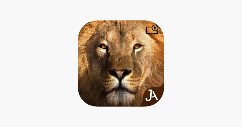 Safari: Evolution Game Cover