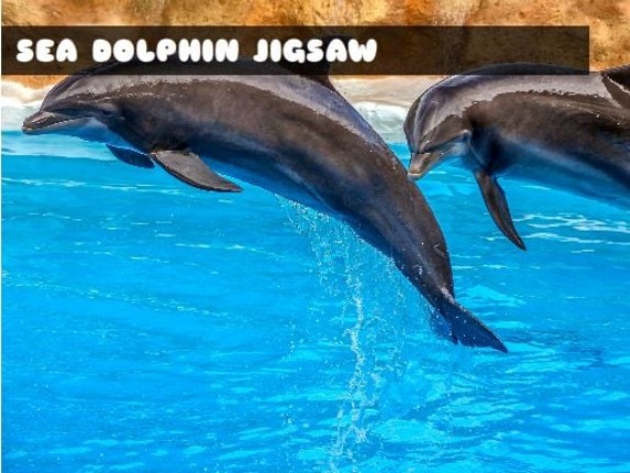 Sea Dolphin Jigsaw Game Cover