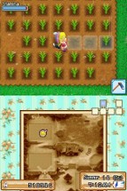 Harvest Moon DS: Grand Bazaar Image