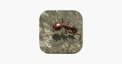Ant Simulation 3D Image