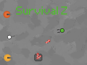 Survival Z Image