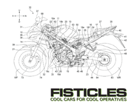 FISTICLES Image