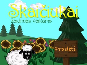 Skaiciukai Image