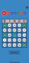 Classic Bingo Touch Image