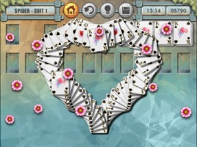 Spider Solitaire Hearts &amp; Spades Patience Image