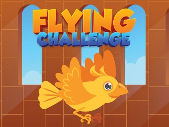 Flying Challenge Game Cover