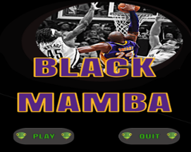 Black Mamba Image