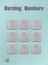 Burn Numbers Image