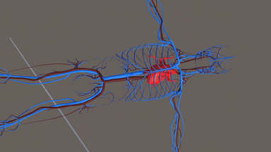 Human Anatomy Viewer XR Image