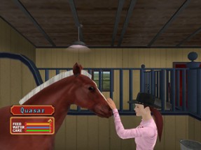 Lets Ride Silver Buckle Stables Image