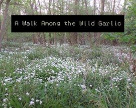 A Walk Among the Wild Garlic Image