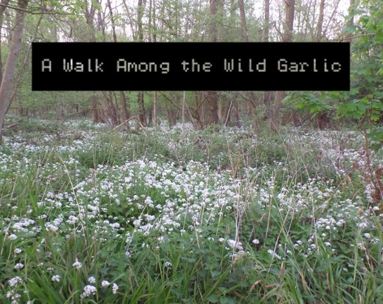 A Walk Among the Wild Garlic Game Cover