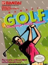 Bandai Golf: Challenge Pebble Beach Image