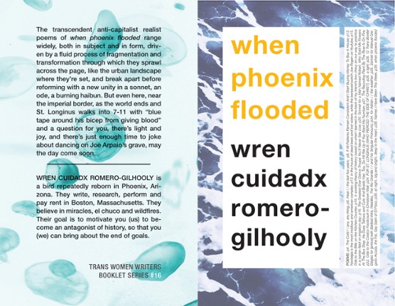 when phoenix flooded Game Cover