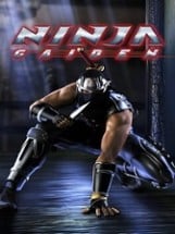 Ninja Gaiden Image