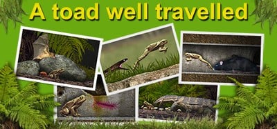 A toad well travelled Image