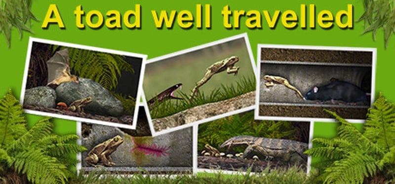 A toad well travelled Game Cover