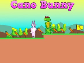 Cano Bunny Image