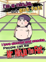 Mr. Ninja The Fat Image