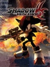 Shadow the Hedgehog Image