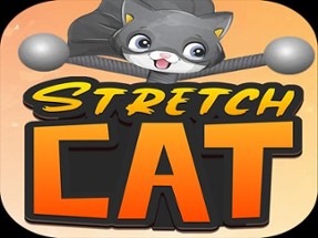 STRETCH CAT 3D Image