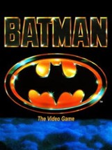 Batman: The Video Game Image