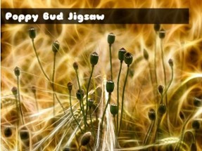 Poppy Bud Jigsaw Image