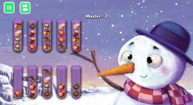 Christmas Sort Puzzle Image