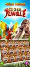 Dragon Throne Casino - Slots Image