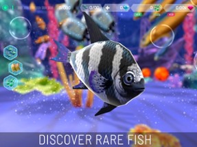 Fish Abyss: Aquarium Simulator Image
