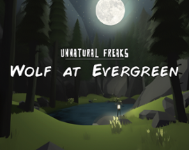 Wolf At Evergreen (VR) Image