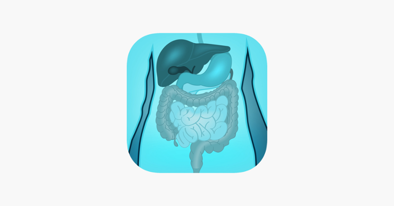 Digestive System Quizzes Game Cover