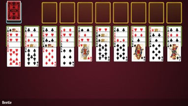 Spider Solitaire Collection Image