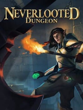 Neverlooted Dungeon Game Cover