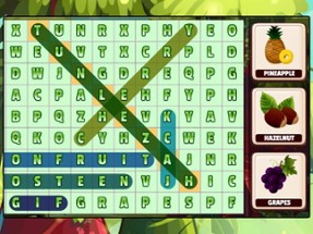 Word Search Fruits Image