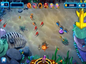 Fish doom: Fishing diary games Image