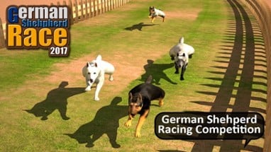 German Shepard Pet Dog Race 2017 Image