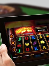 NetBet.net - Online Slots Image