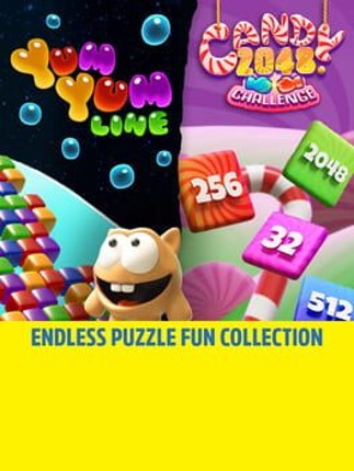Endless Puzzle Fun Collection Game Cover
