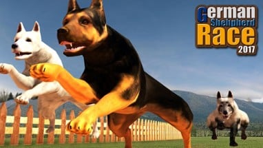 German Shepard Pet Dog Race 2017 Image