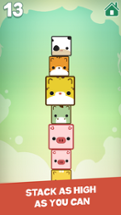 Pet Cube: Tower Stack Image