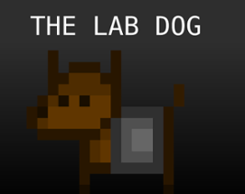 The Lab Dog Image